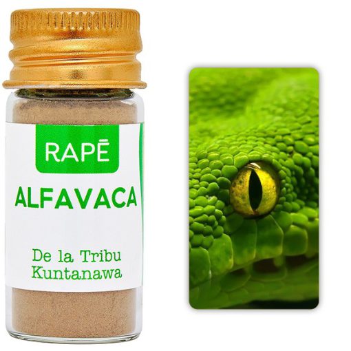 Alfavaca - Imagen 2